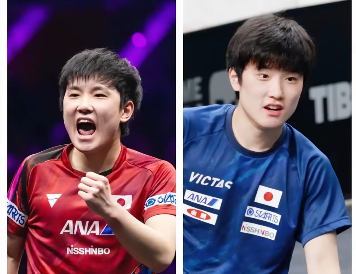 PG中国登录入口-关于波兰乒乓球队翻盘比利时乒乓球队，张本智和惊艳世界的信息