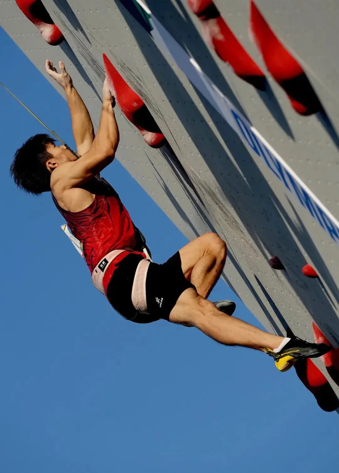 包含田径比赛中长跑选手顽强拼搏，努力冲刺的词条