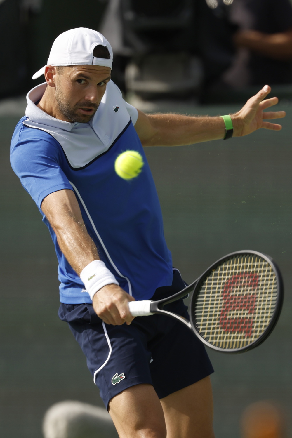 PG中国登录入口-关于美网逆转法网，梅德韦杰夫高光表现的信息