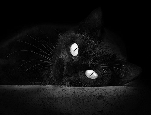 PG平台-库里式制胜一击！浙江队收割辽宁，演绎篮球艺术的唯一性